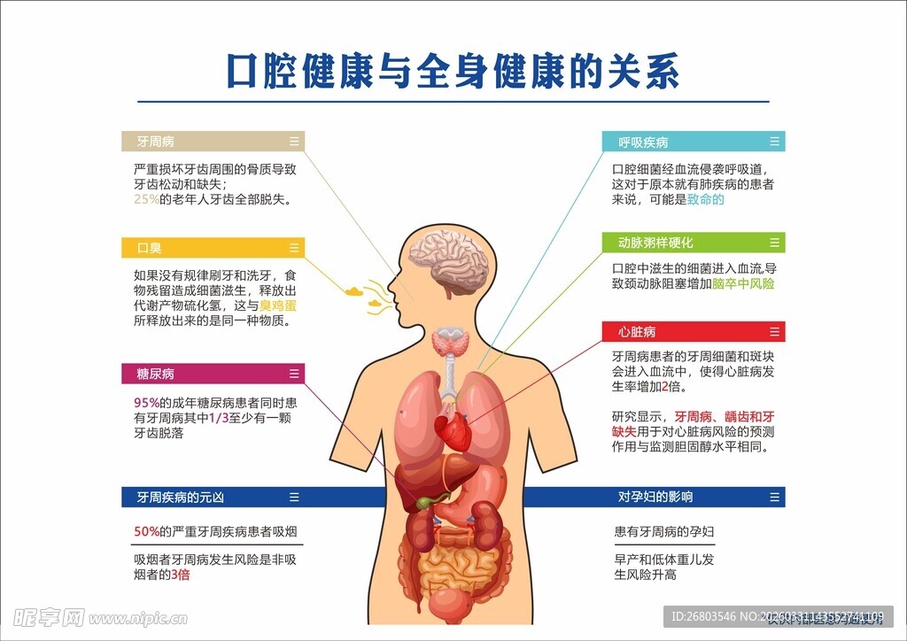 口腔健康与全身健康关系图