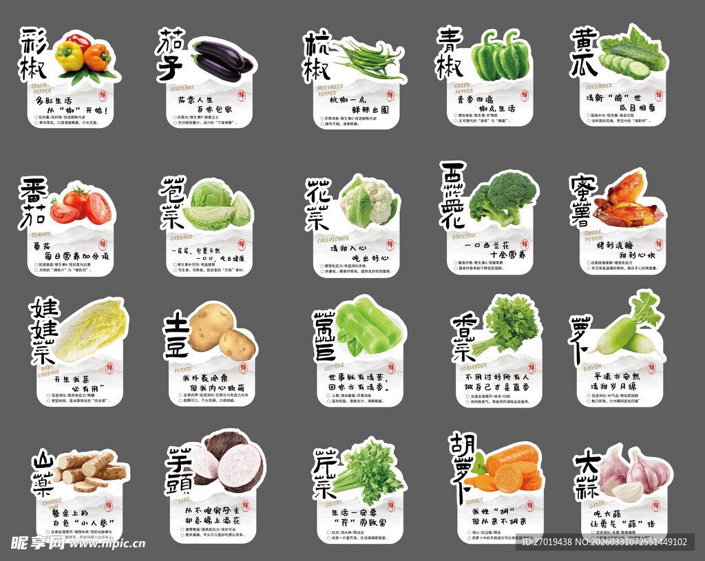 多样新鲜蔬菜图标集合