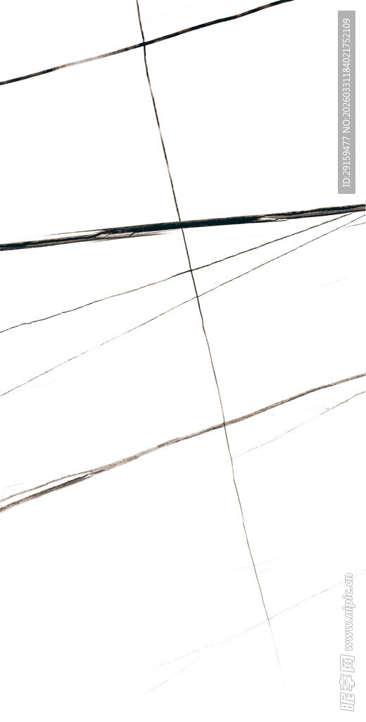 抽象线条艺术画面