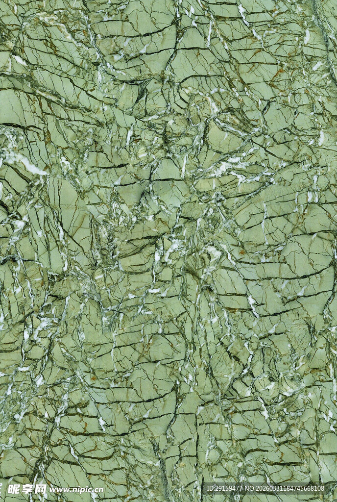 绿色纹理皮革表面材质