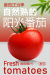 阳光熟番茄新鲜水果海报