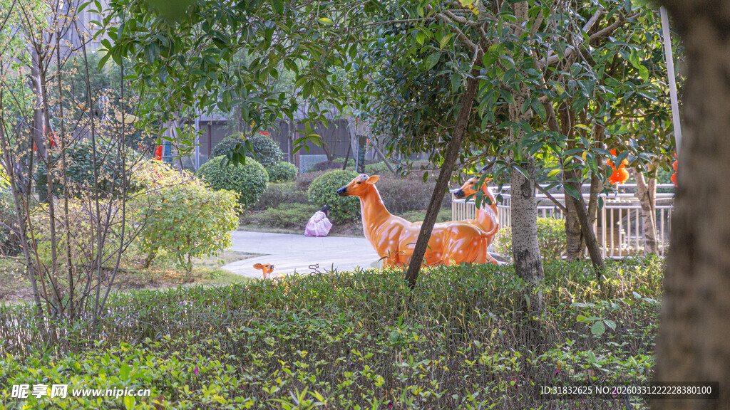 林间漫步的优雅鹿群