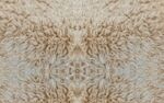 米色毛绒纹理图案