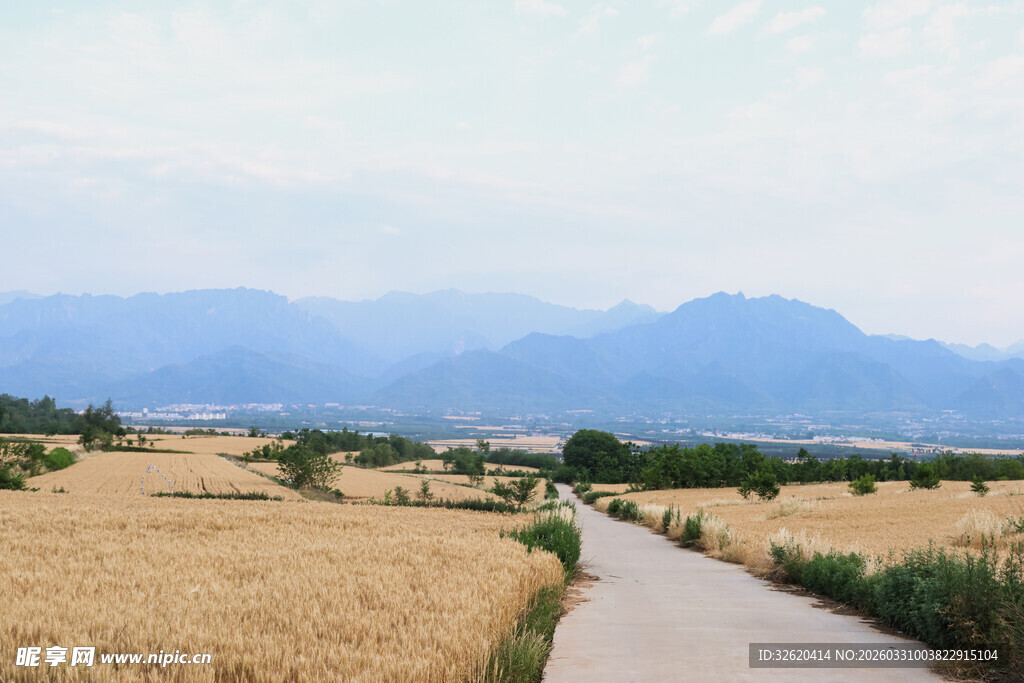 麦田小道旁的远山美景