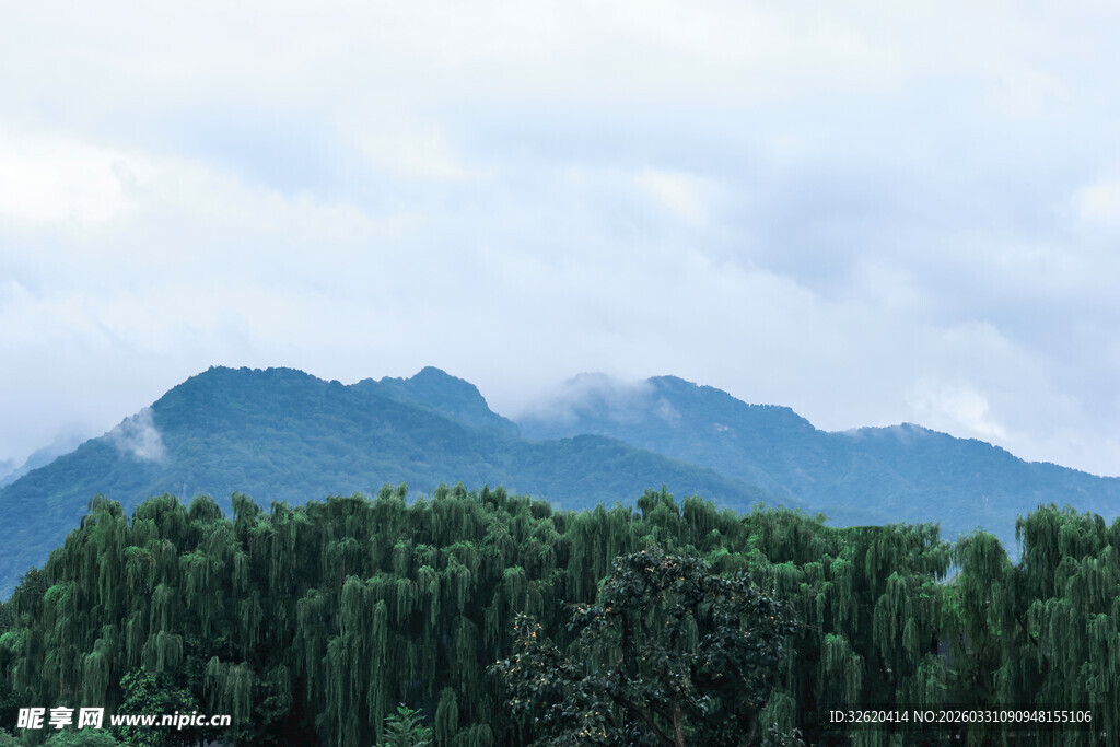 山林云雾间的清新景致