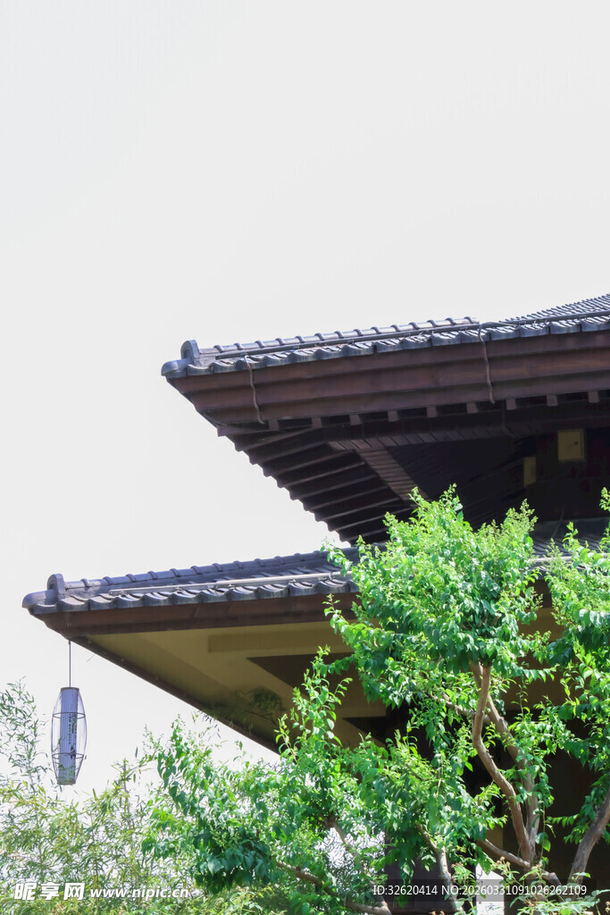 中式屋檐下的葱郁绿植
