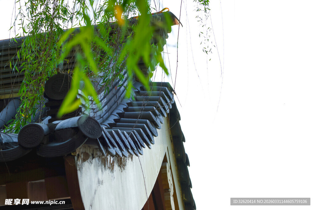 中式屋檐下的翠绿藤蔓