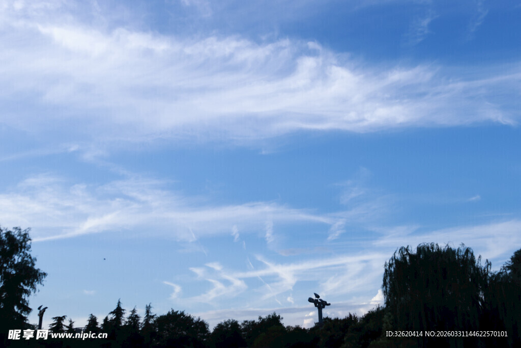 蓝天白云下的葱郁树林