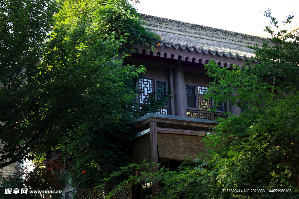 中式楼阁隐于葱郁绿植间