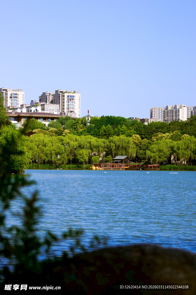 湖畔绿树环绕的城市景观