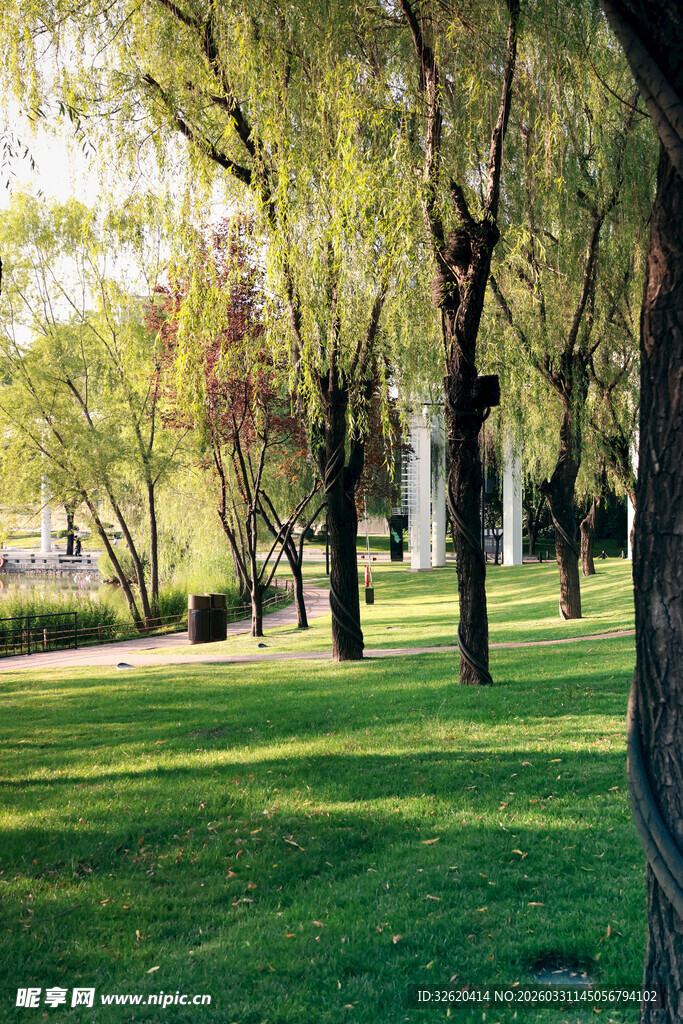 阳光照耀下的绿意公园