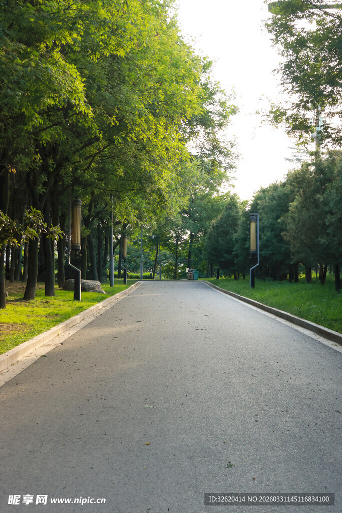 林荫大道风景