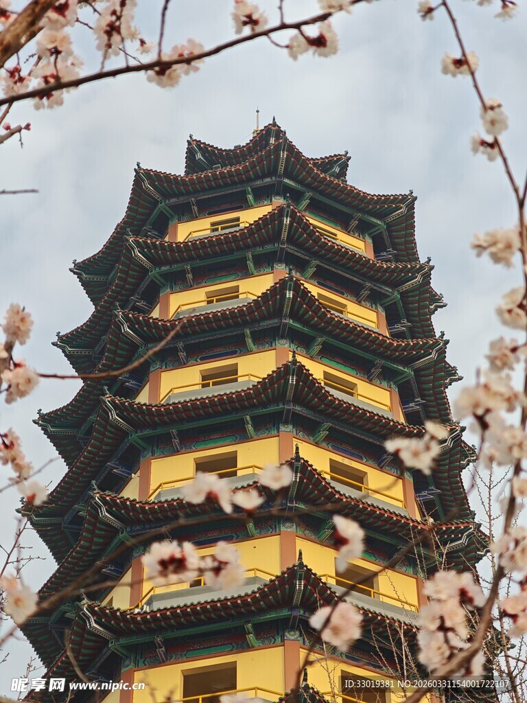 古塔绽放春花美景