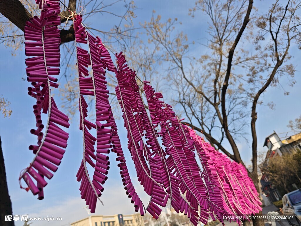 粉色纸条挂树枝