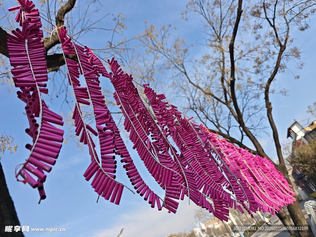 粉色祈福条悬挂于树枝间