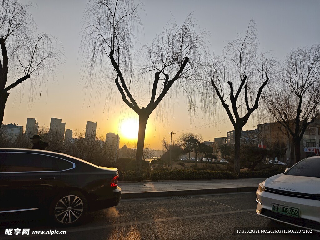 夕阳下路边的车辆与树木