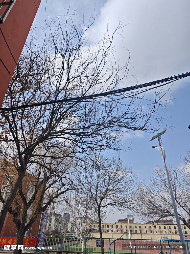 冬日校园外的电线与建筑