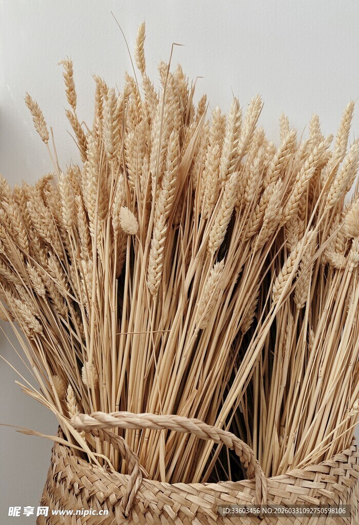 麦秆束于篮中