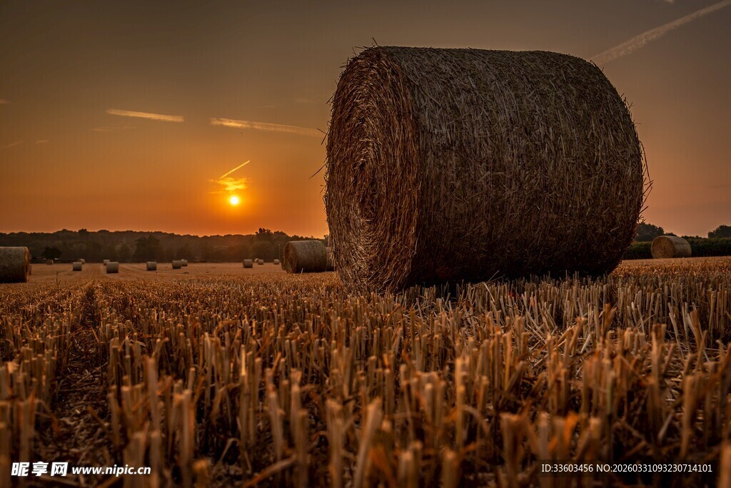 夕阳下的田野草垛