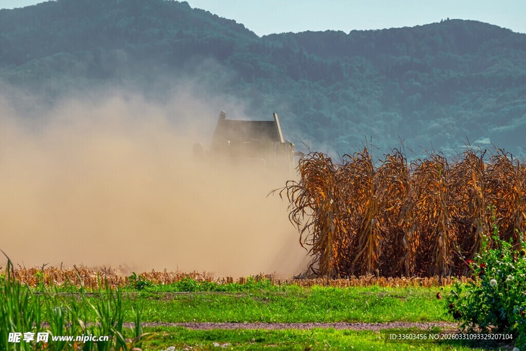农田中收割机作业扬起尘土