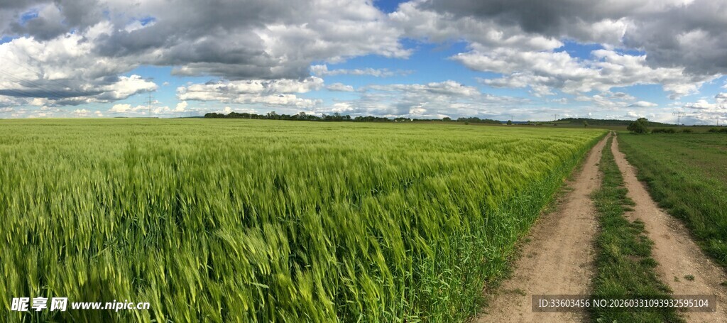田野中的乡间小路