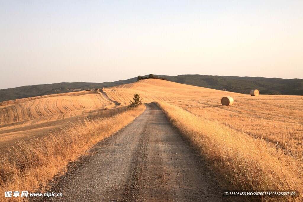 田野间的土路与干草堆