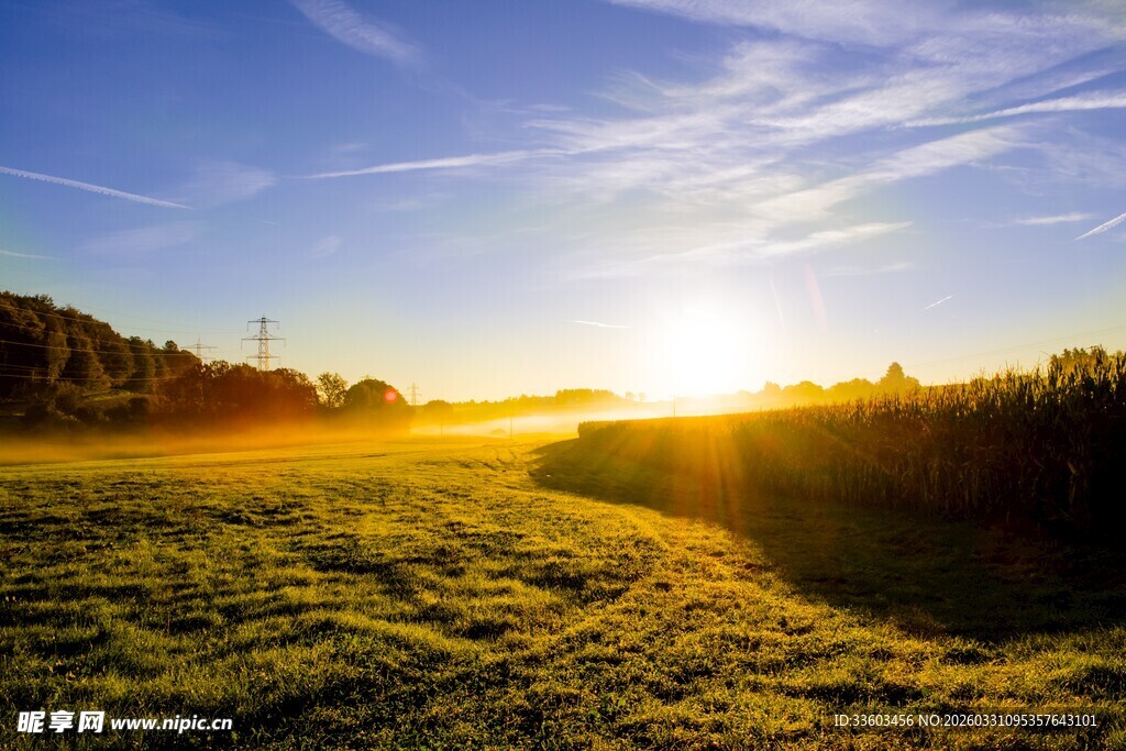 日出时分的广袤原野