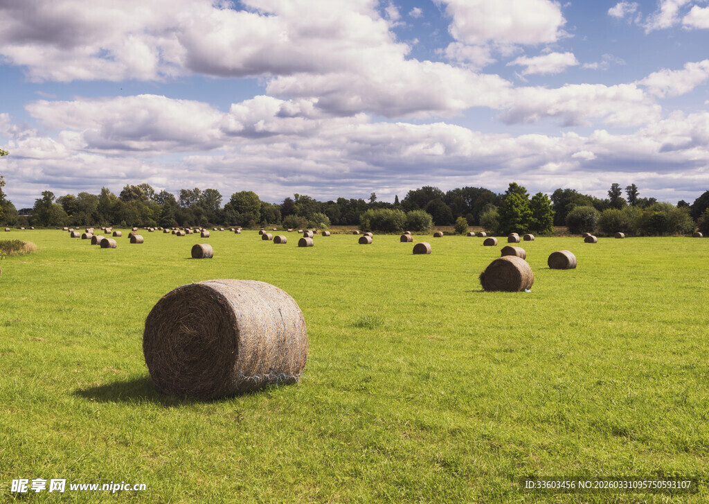 草原上的草垛风景