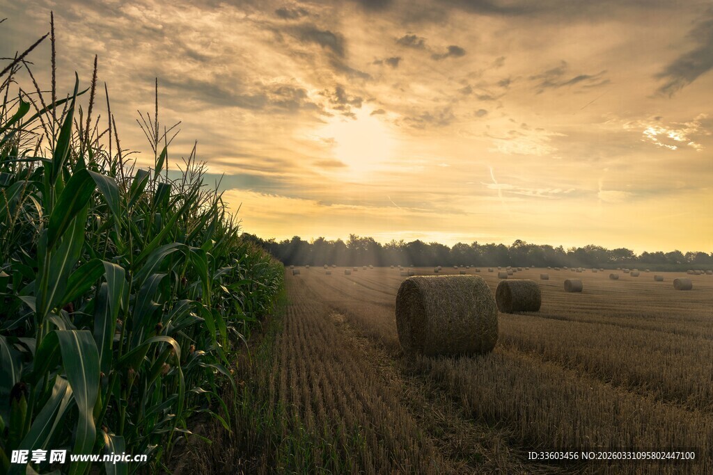 夕阳下的田野与草垛