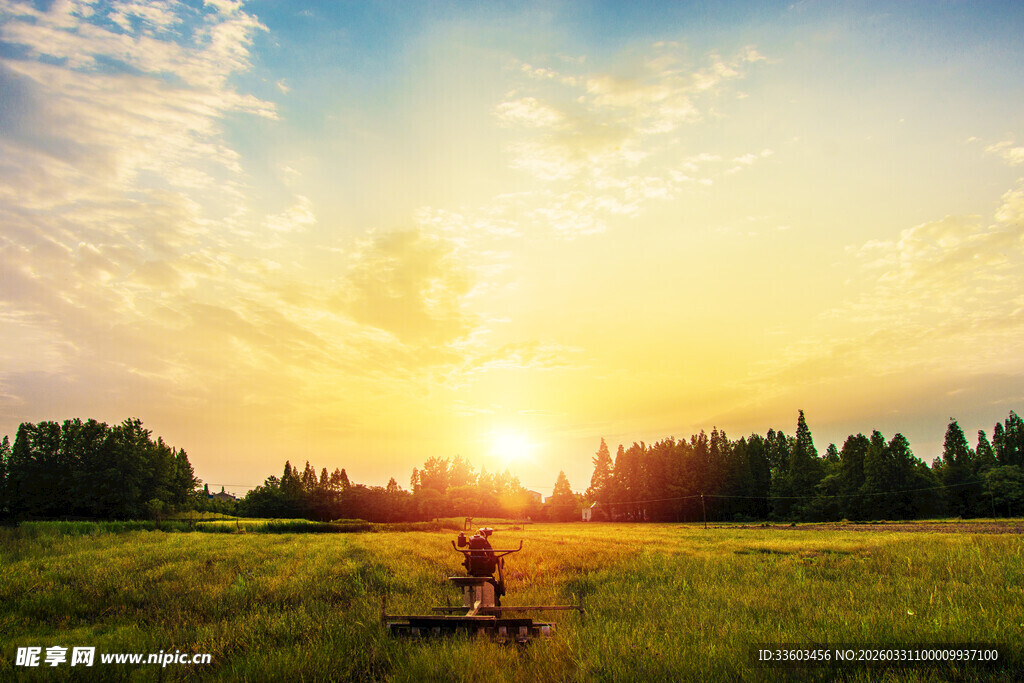 夕阳下草原上的静谧身影