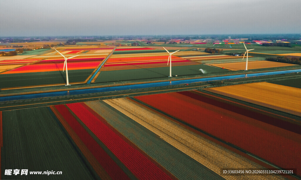 五彩斑斓的田野风光