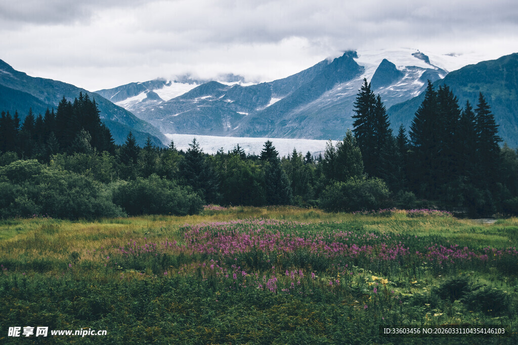 山间绿野繁花与雪山美景