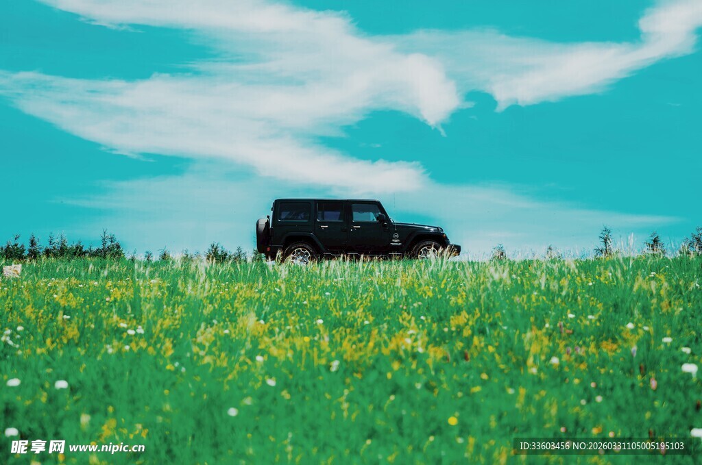 草原上的黑色汽车