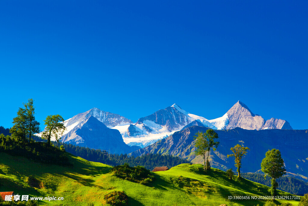高山草甸间的壮丽雪山景色
