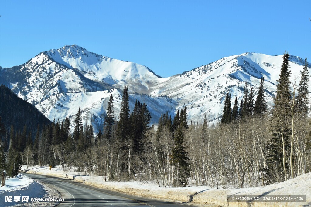 雪山公路旁的冬日森林景