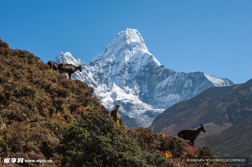 壮丽雪山与山间徒步者