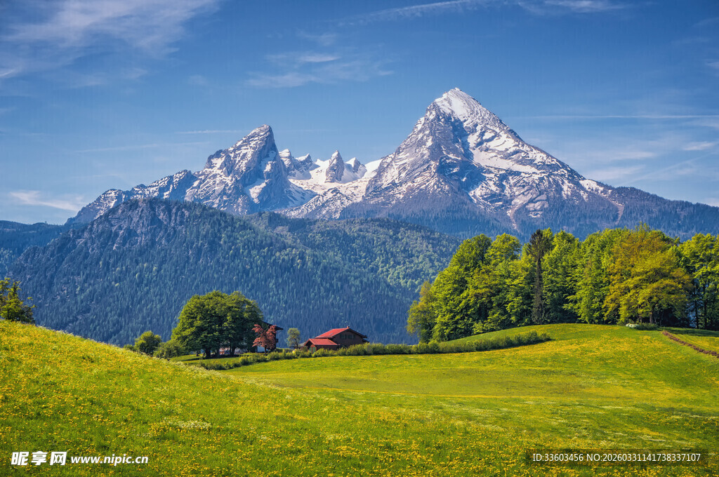 山间绿野中的壮丽雪山