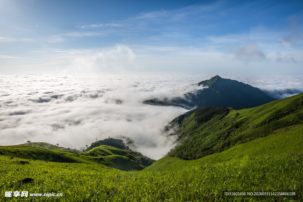 山间云海绿意盎然美景