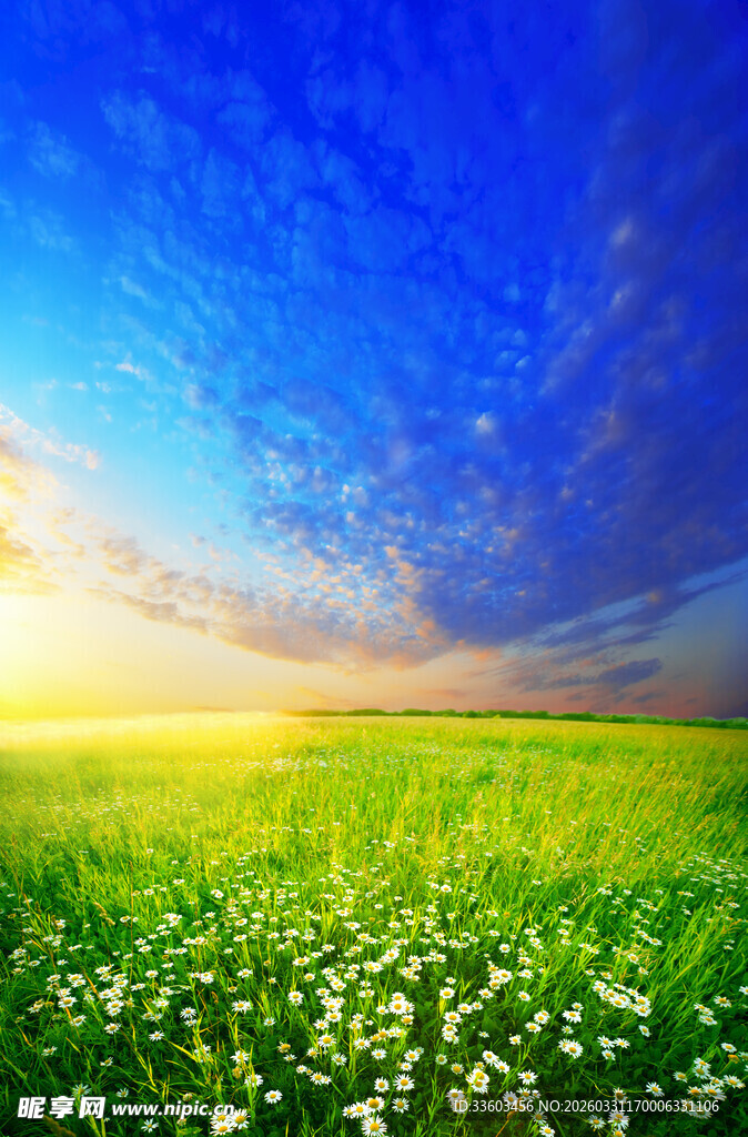 梦幻绿野蓝天美景