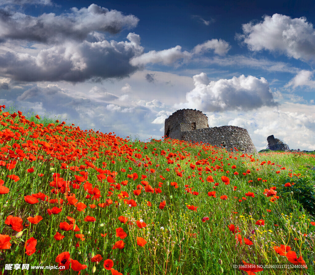 花海中的古老建筑