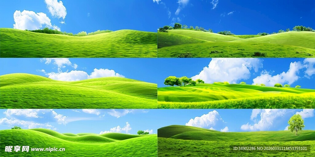 草地草坪小草素材