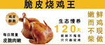 脆皮烧鸡王