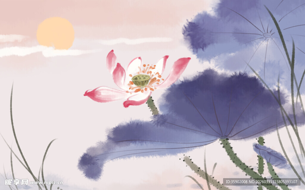 梦幻荷花与日出美景