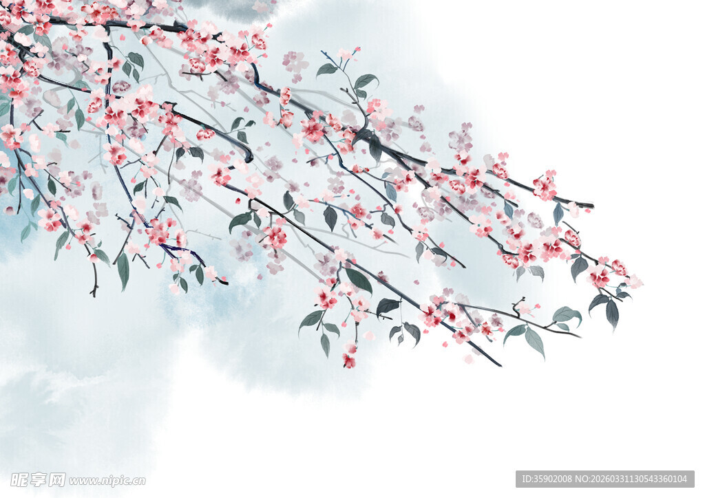 雪中红梅枝头绽放