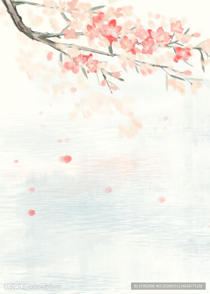 水墨风绽放的烂漫樱花枝