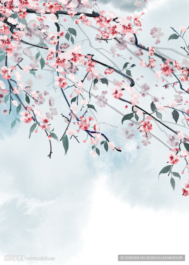 枝头繁花映蓝天