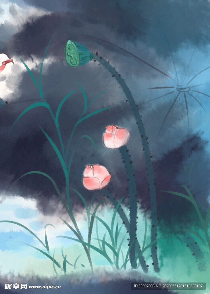 雨中荷塘娇艳荷花初绽