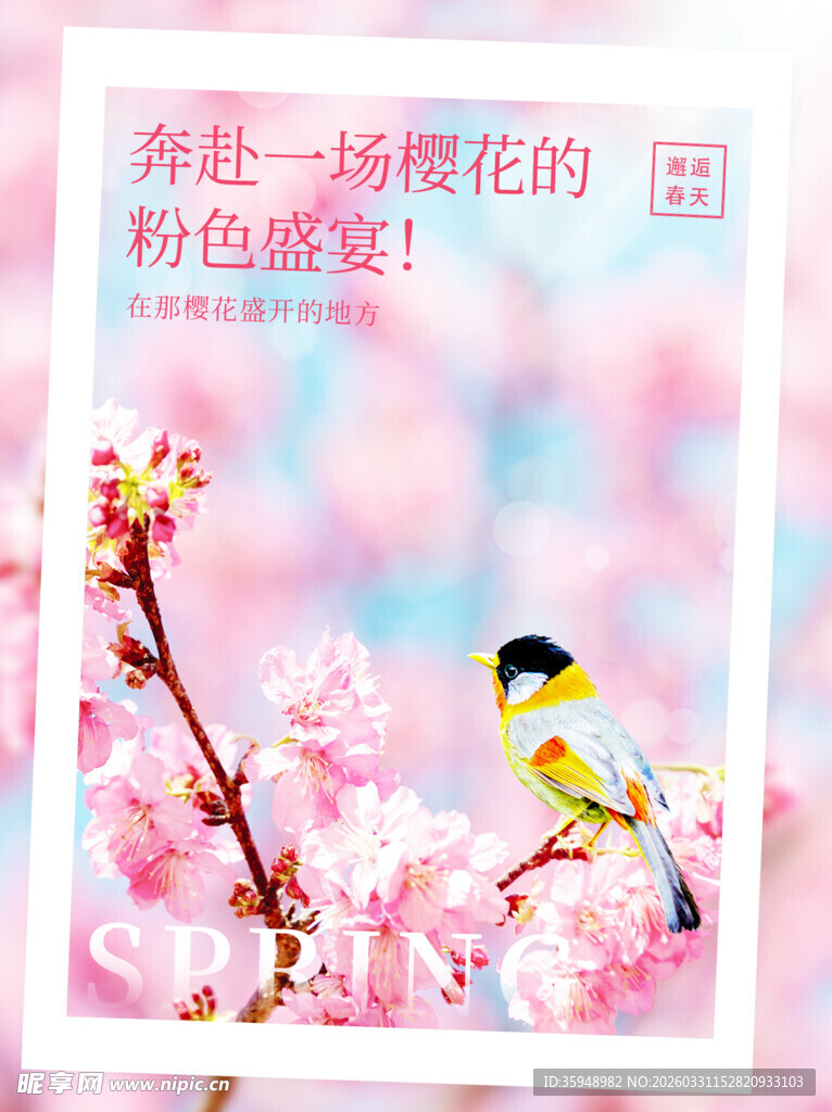 邂逅一场樱花的粉色盛宴