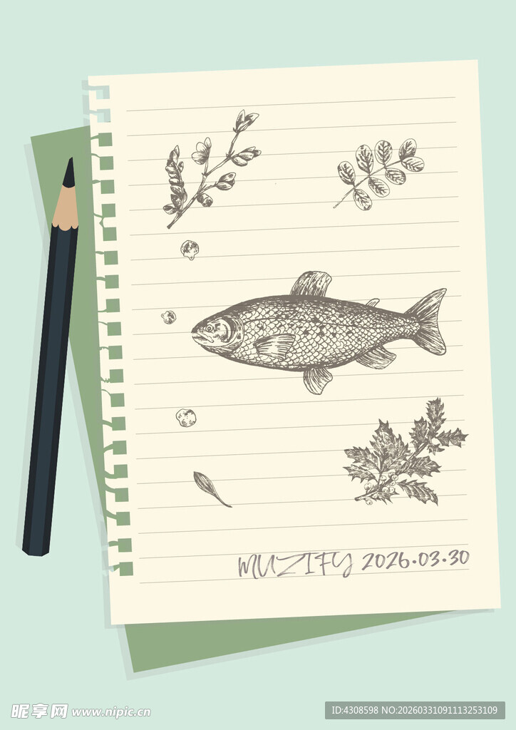 手绘稿 鱼