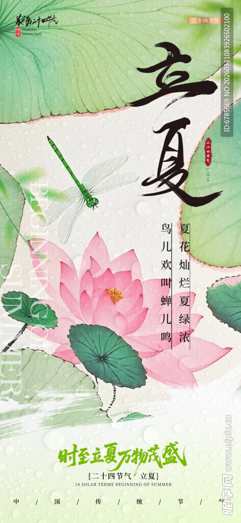 立夏时节荷韵图